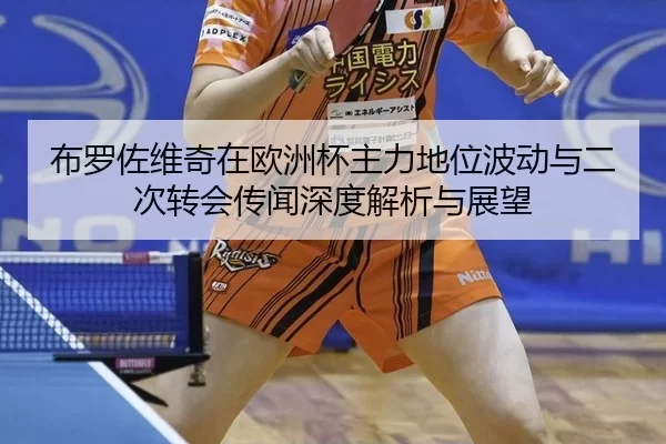 布罗佐维奇在欧洲杯主力地位波动与二次转会传闻深度解析与展望
